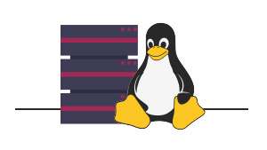 Valuable Practical Tips for Linux VPS