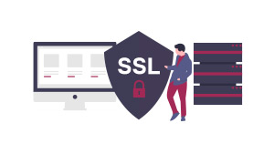 Undeniable SSL Certificate Properties