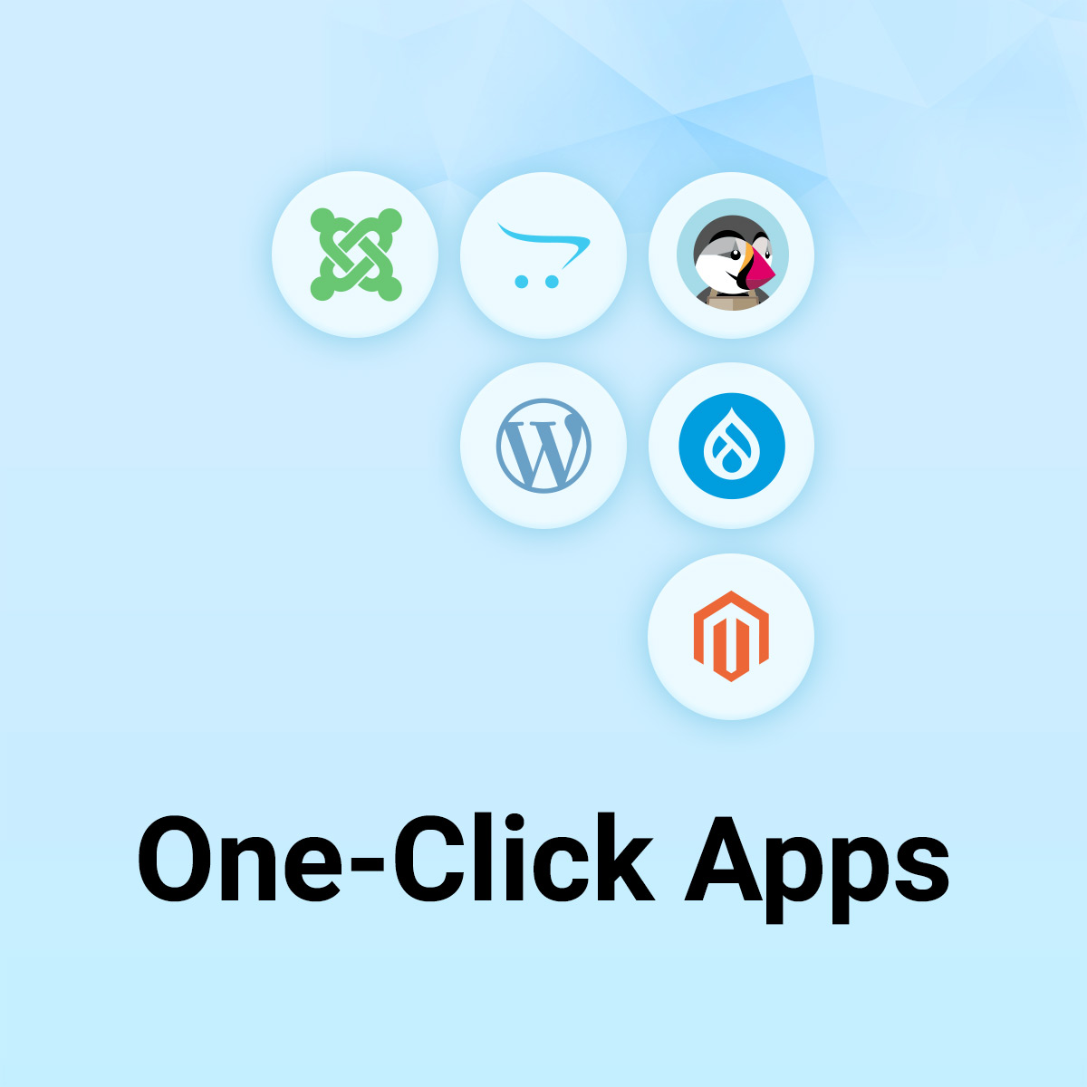 Manage Your VPS with CMS Solution | HOSTRY Hosting Services